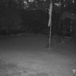 Generic_AMCREST-001-20260731-2045362794-Cam-1-Type-0