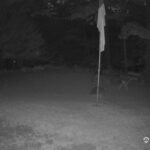 Generic_AMCREST-001-20260731-2100367890-Cam-1-Type-0