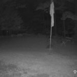 Generic_AMCREST-001-20260731-2115363028-Cam-1-Type-0