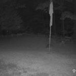 Generic_AMCREST-001-20260731-2130368016-Cam-1-Type-0