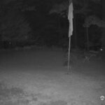 Generic_AMCREST-001-20260731-2145363096-Cam-1-Type-0
