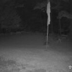 Generic_AMCREST-001-20260731-2200368020-Cam-1-Type-0
