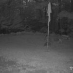 Generic_AMCREST-001-20260801-0500003070-Cam-1-Type-0