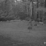 Generic_AMCREST-001-20260801-0515007735-Cam-1-Type-0