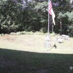 Generic_AMCREST-001-20260801-1045142189-Cam-1-Type-0