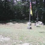 Generic_AMCREST-001-20260801-1330187632-Cam-1-Type-0