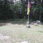 Generic_AMCREST-001-20260801-1415209056-Cam-1-Type-0