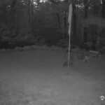 Generic_AMCREST-001-20260801-2033401519-Cam-1-Type-0