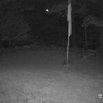 Generic_AMCREST-001-20260801-2103407322-Cam-1-Type-0