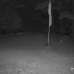 Generic_AMCREST-001-20260801-2133403225-Cam-1-Type-0