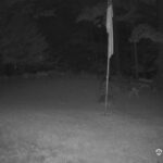 Generic_AMCREST-001-20260801-2203409036-Cam-1-Type-0