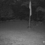Generic_AMCREST-001-20260802-0500046304-Cam-1-Type-0