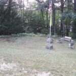Generic_AMCREST-001-20260826-1630178578-Cam-1-Type-0