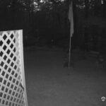 Generic_AMCREST-001-20260826-2000221669-Cam-1-Type-0