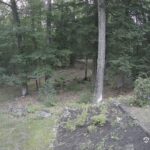 Generic_AMCREST-002-20260731-2015375884-Cam-2-Type-0
