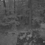 Generic_AMCREST-002-20260731-2030381566-Cam-2-Type-0