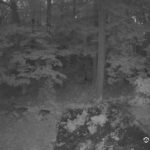 Generic_AMCREST-002-20260801-0500002712-Cam-2-Type-0