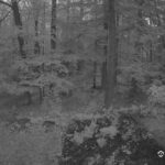 Generic_AMCREST-002-20260801-0515007433-Cam-2-Type-0