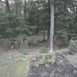 Generic_AMCREST-002-20260801-0530003057-Cam-2-Type-0