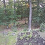 Generic_AMCREST-002-20260801-0630029220-Cam-2-Type-0