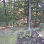 Generic_AMCREST-002-20260801-0700034060-Cam-2-Type-0