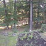 Generic_AMCREST-002-20260801-0715041348-Cam-2-Type-0