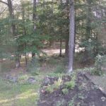 Generic_AMCREST-002-20260801-0815060098-Cam-2-Type-0