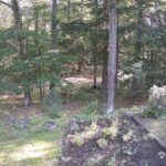 Generic_AMCREST-002-20260801-0830067732-Cam-2-Type-0