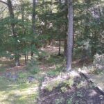 Generic_AMCREST-002-20260801-0845075490-Cam-2-Type-0