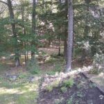 Generic_AMCREST-002-20260801-0900073289-Cam-2-Type-0
