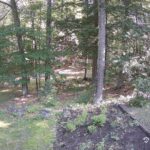 Generic_AMCREST-002-20260801-0915080904-Cam-2-Type-0
