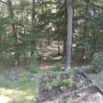 Generic_AMCREST-002-20260801-1015100590-Cam-2-Type-0