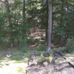 Generic_AMCREST-002-20260801-1030107793-Cam-2-Type-0