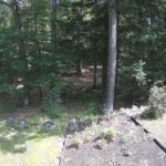 Generic_AMCREST-002-20260801-1145141673-Cam-2-Type-0