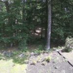 Generic_AMCREST-002-20260801-1230162136-Cam-2-Type-0