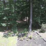 Generic_AMCREST-002-20260801-1315173216-Cam-2-Type-0