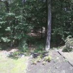 Generic_AMCREST-002-20260801-1330179976-Cam-2-Type-0