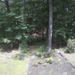 Generic_AMCREST-002-20260801-1345186806-Cam-2-Type-0