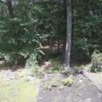 Generic_AMCREST-002-20260801-1415191175-Cam-2-Type-0