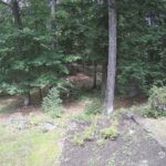 Generic_AMCREST-002-20260801-1430198234-Cam-2-Type-0