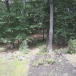 Generic_AMCREST-002-20260801-1445205613-Cam-2-Type-0