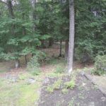 Generic_AMCREST-002-20260801-1515209581-Cam-2-Type-0