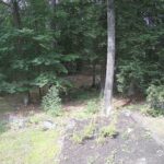 Generic_AMCREST-002-20260801-1530216475-Cam-2-Type-0