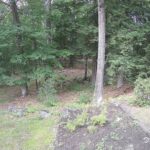 Generic_AMCREST-002-20260801-1615227662-Cam-2-Type-0