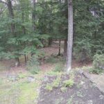 Generic_AMCREST-002-20260801-1715254633-Cam-2-Type-0