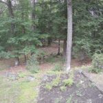Generic_AMCREST-002-20260801-1730261606-Cam-2-Type-0