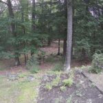 Generic_AMCREST-002-20260801-1815272735-Cam-2-Type-0