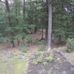 Generic_AMCREST-002-20260801-1830279648-Cam-2-Type-0