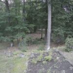 Generic_AMCREST-002-20260801-2003393929-Cam-2-Type-0
