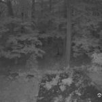 Generic_AMCREST-002-20260801-2033401116-Cam-2-Type-0